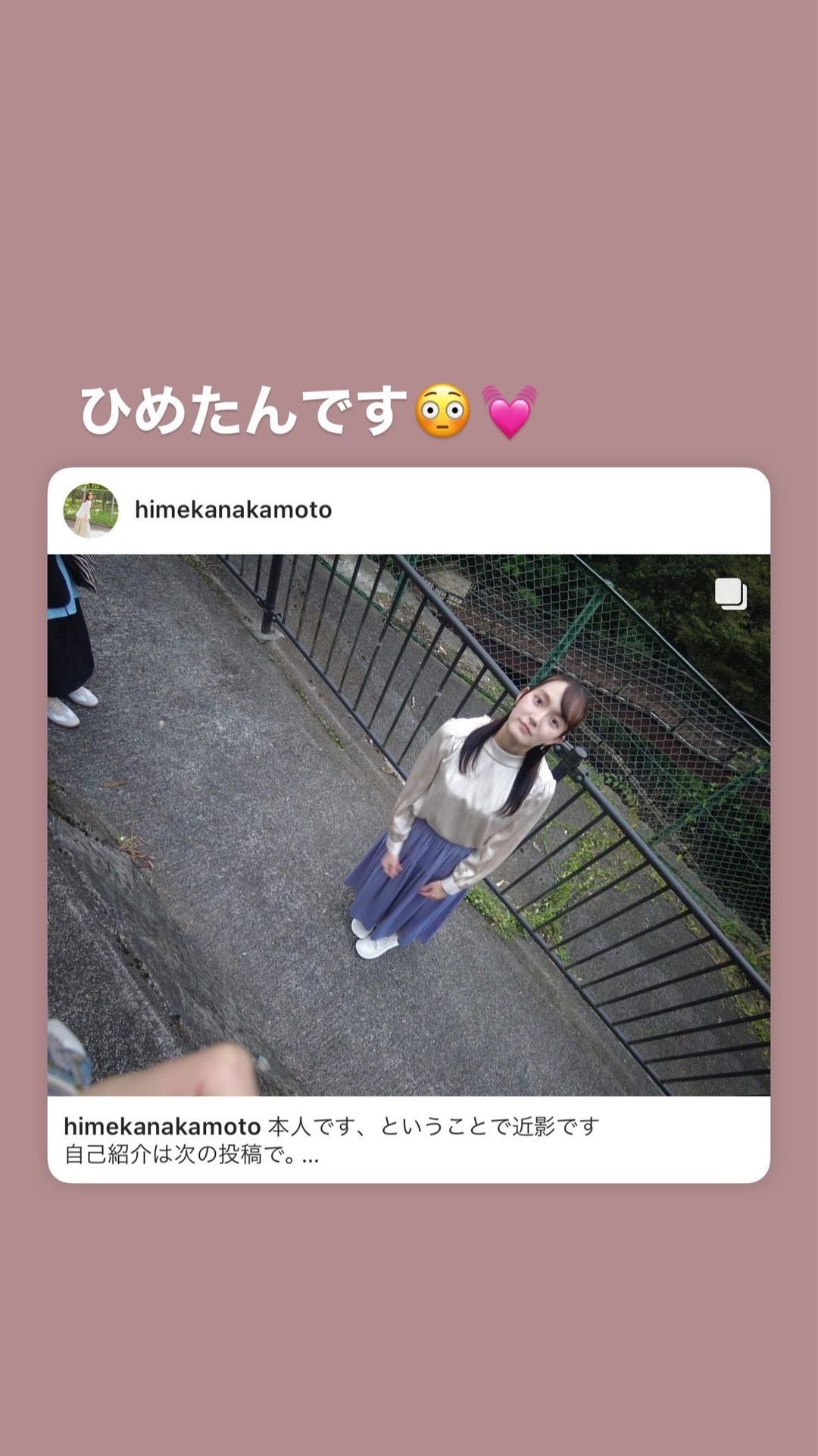 投稿画像
