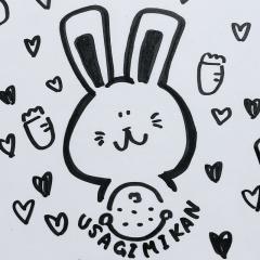 うさぎみかん