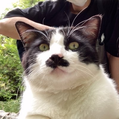 みのり🐈‍⬛🐾