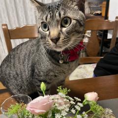 おじりん