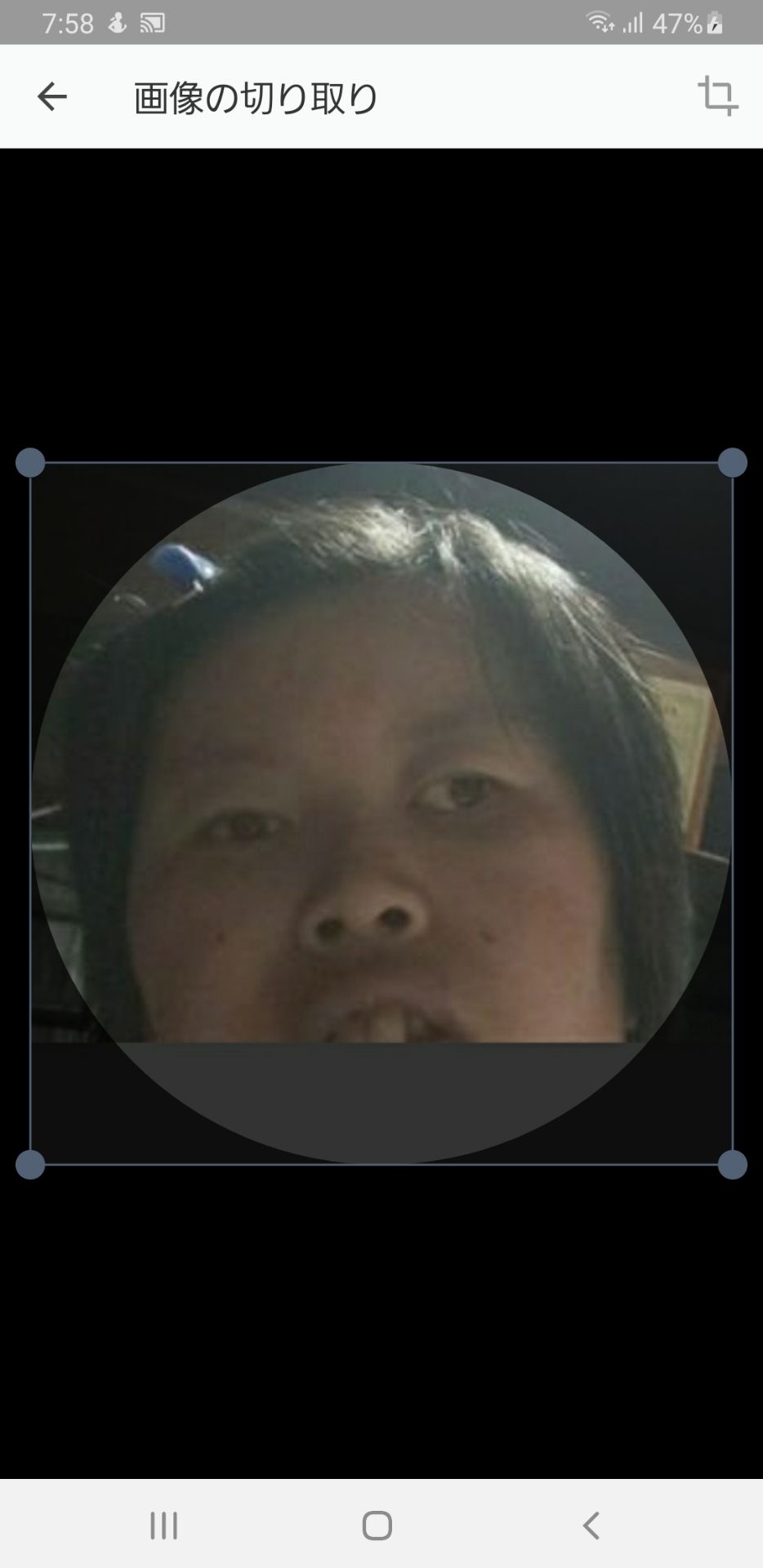 投稿画像
