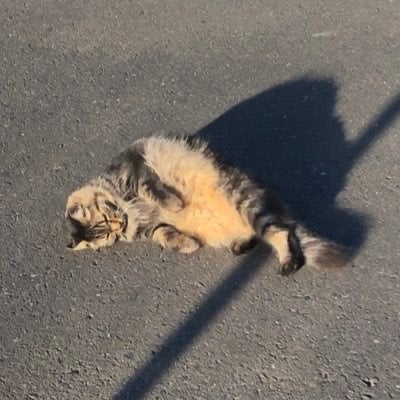 わぬ