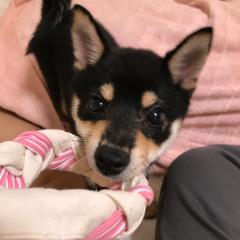 さ い か ⋈