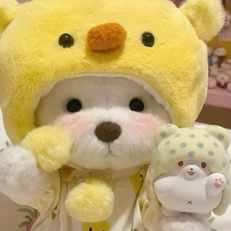 め も ち ゃ ん 💛