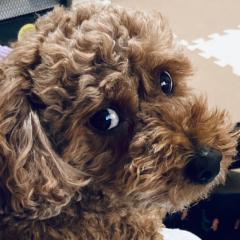 光陰矢の如しかなのトーク