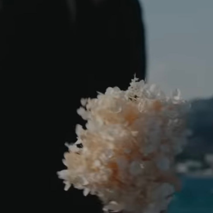 なかがわ