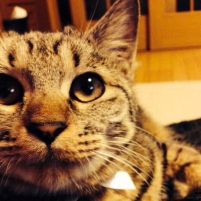 みにまむ