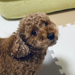 光陰矢の如しかな。マコちゃんでーす😊