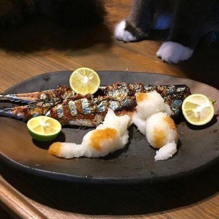 Rex張