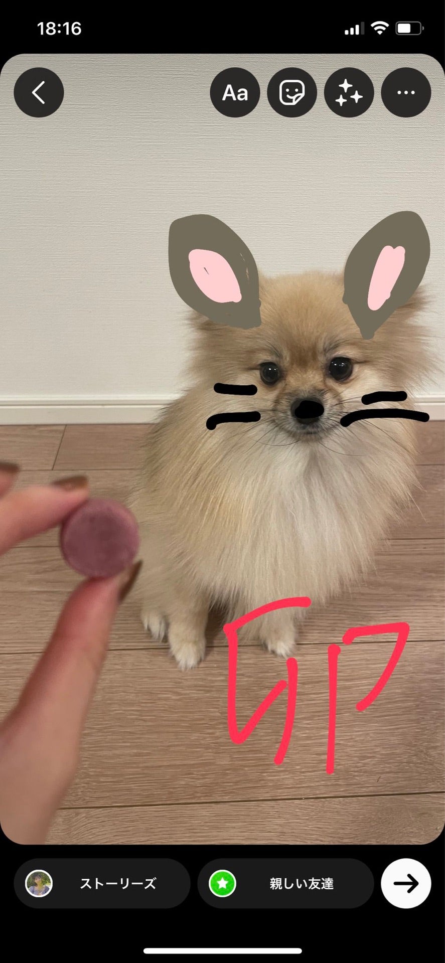 投稿画像