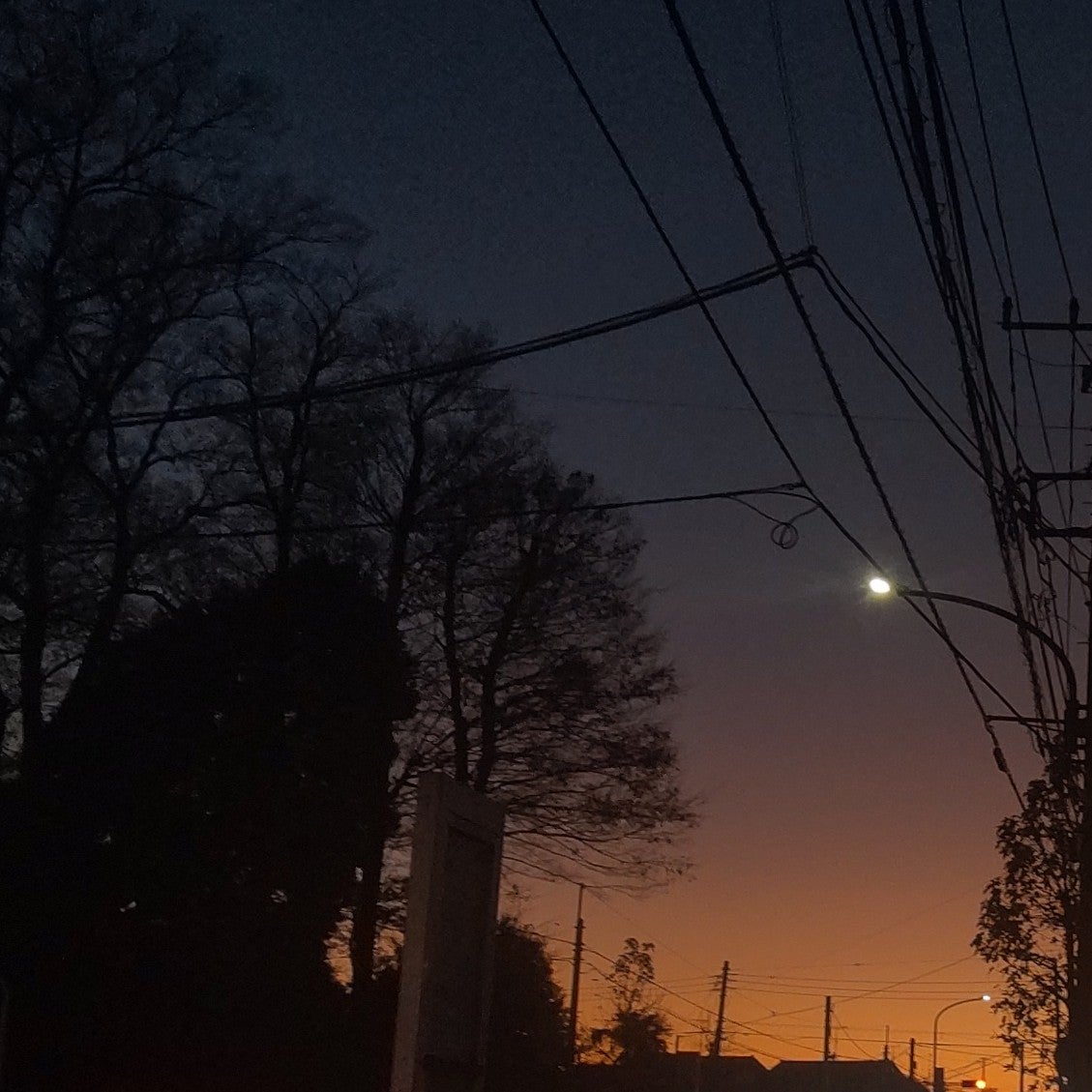 世界観設定　-怪異対策課-