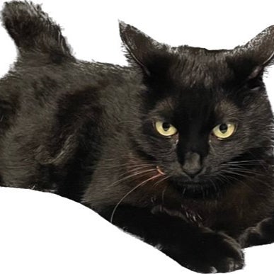 一汁三菜のトーク