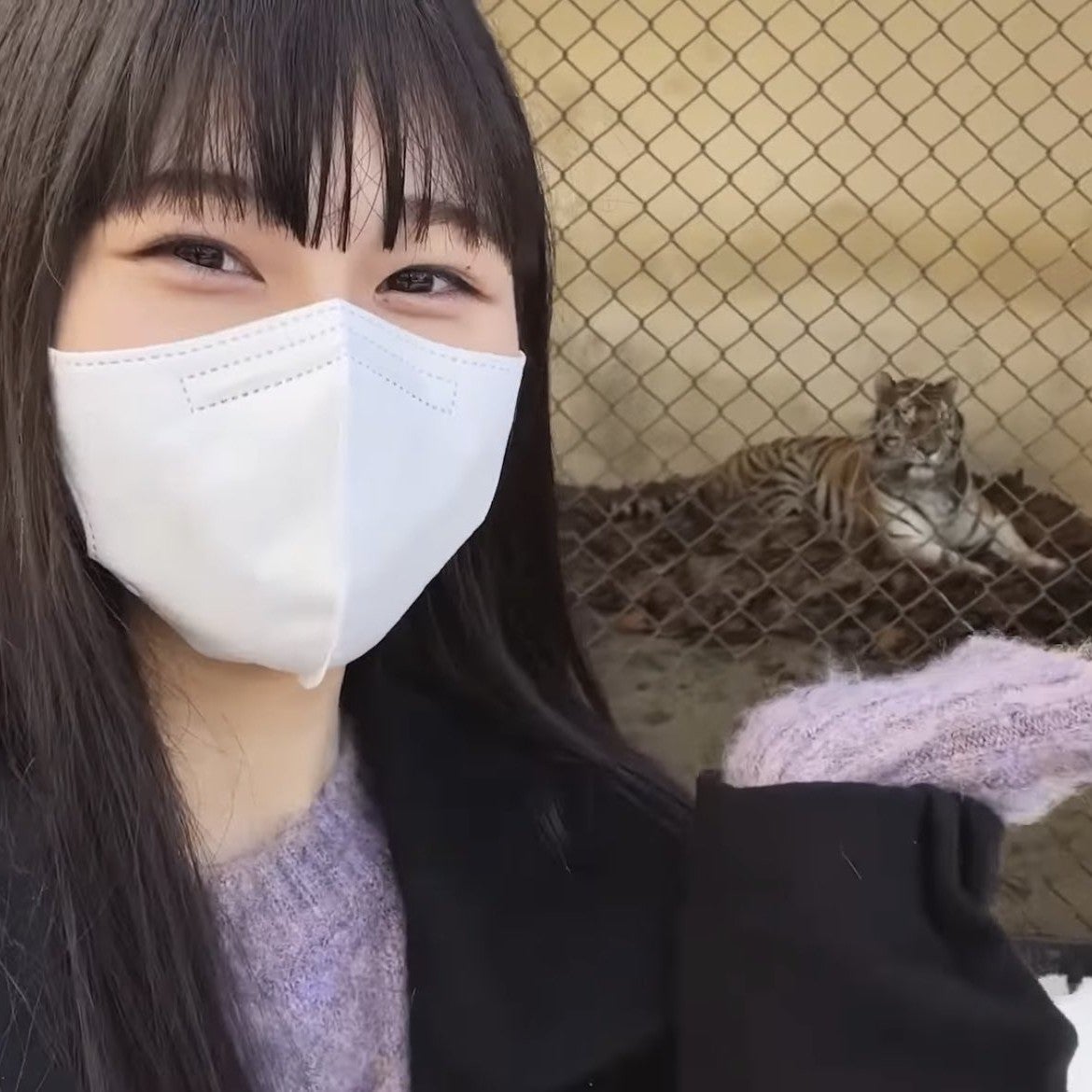 ☁️ 向井純葉 ライブ会場撮りおろしプレミアム生写真 自業自得 東京ドーム 櫻坂46 向井純葉 三期生Vlog撮影場所 : fumi Diary 2号店: ロケ