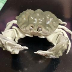 しんちゃロスのトーク