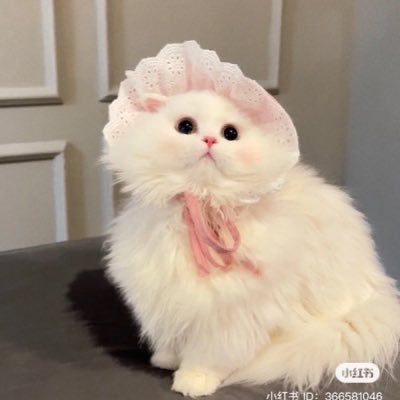 誰のトーク