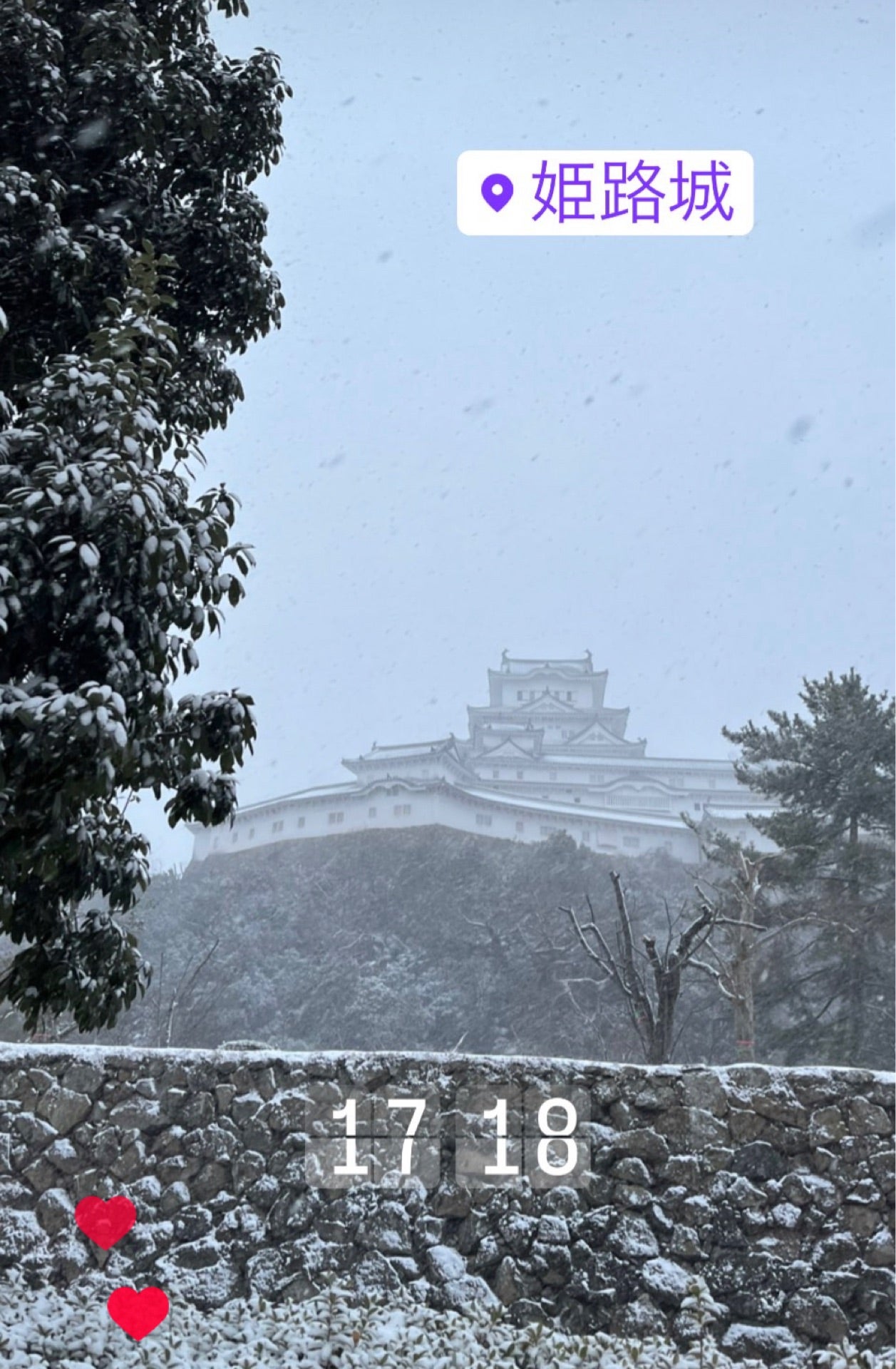 投稿画像