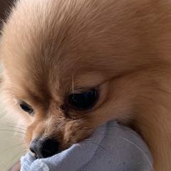 ハルト◢͟￨⁴⁶