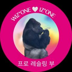 ひろぴょん🌈🦍