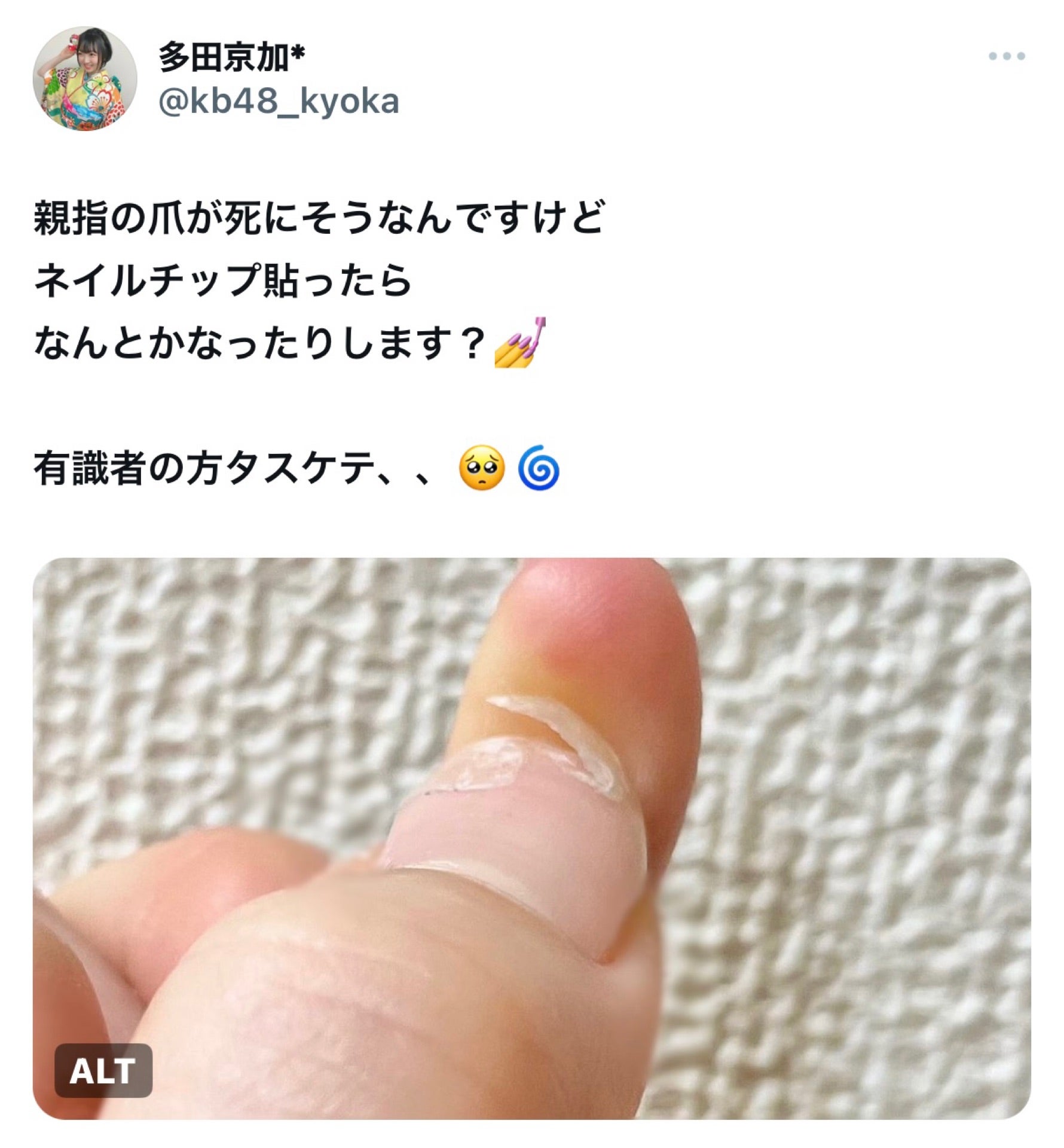 投稿画像