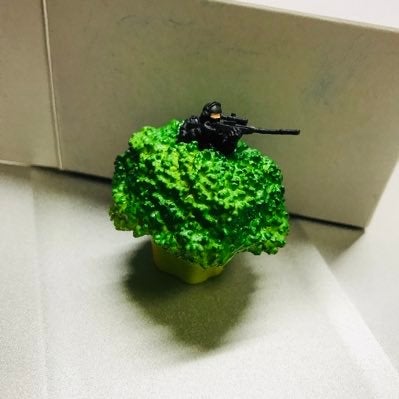 あやちゃのトーク