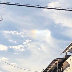 しおん