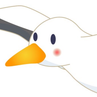 夕陽浴びてカモメ