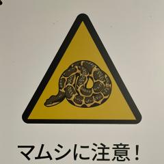 マムシ