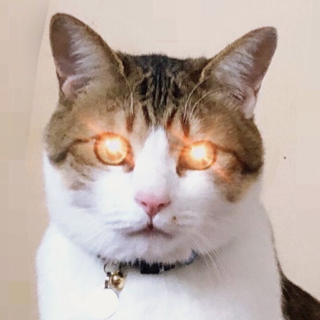 トーク