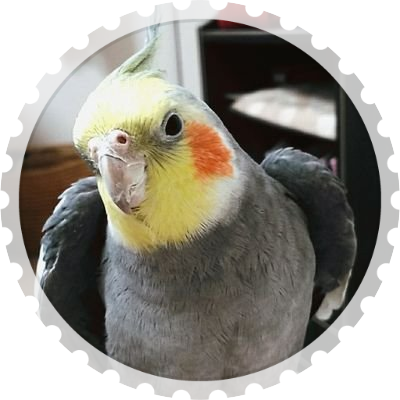 しょごすのトーク