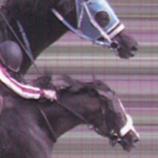 令和スプリング