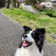 ナナ