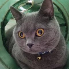 いきる！のトーク