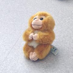 しお