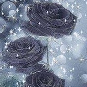 林　直のトーク