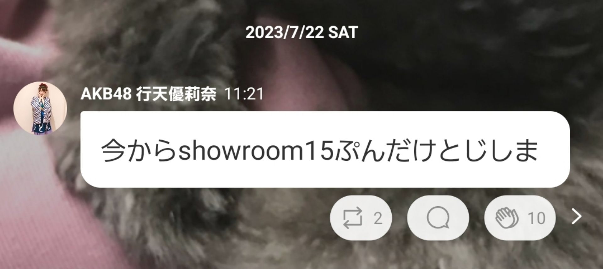 投稿画像