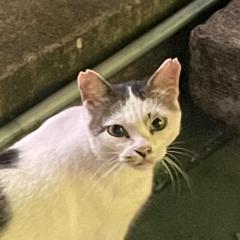 みるまるのトーク