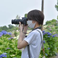 どこかのさきぽんちゃん。🐝