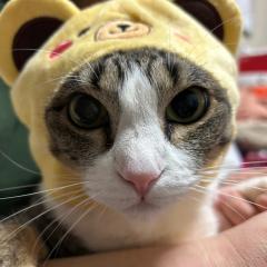 しょ〜た(100%フォロバ)