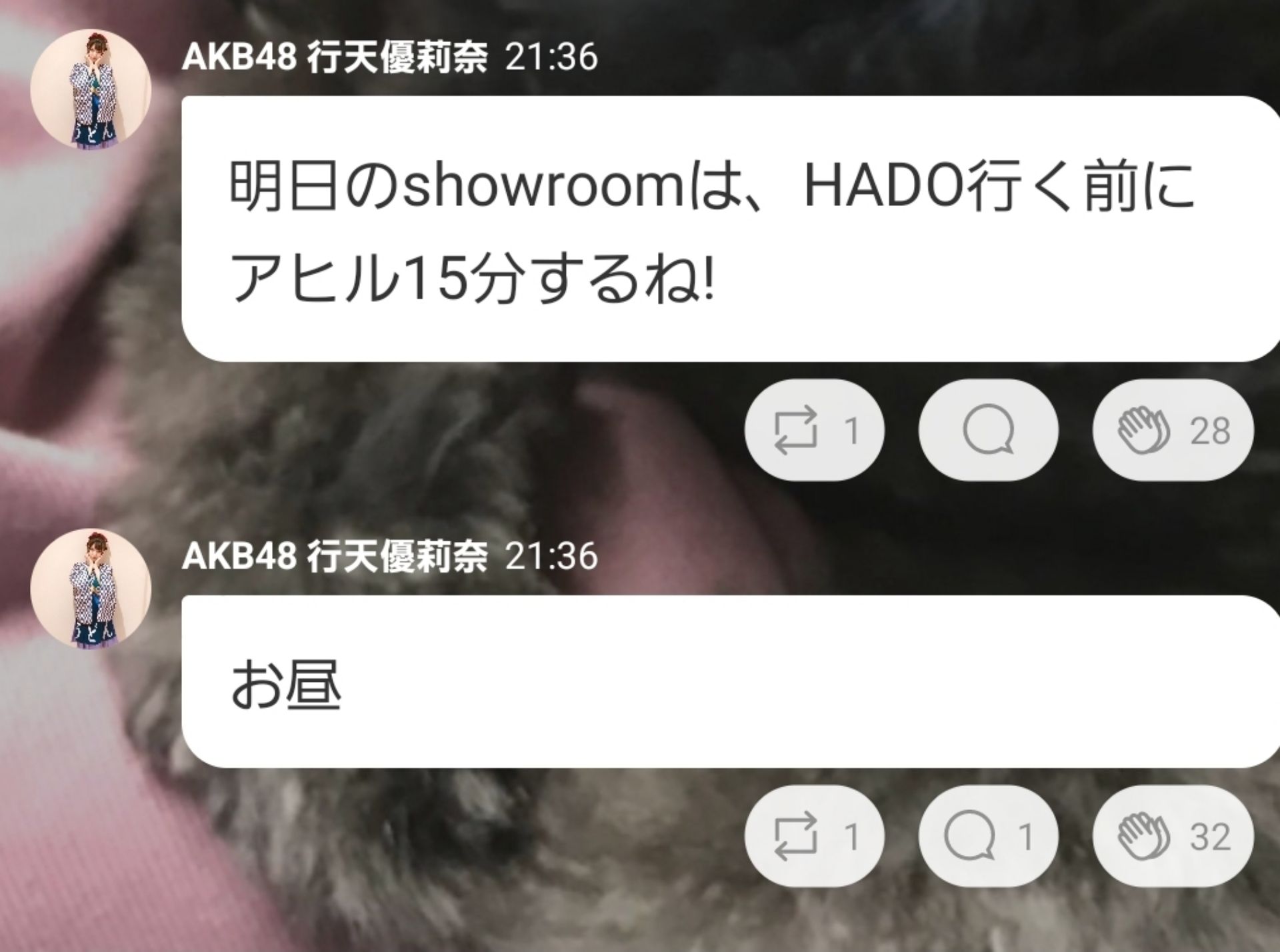 投稿画像