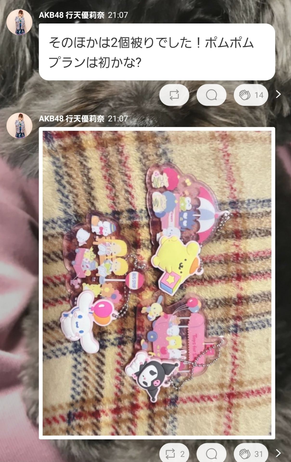 投稿画像