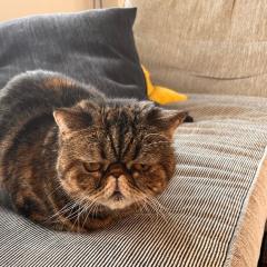 ちゅうちゃんのトーク