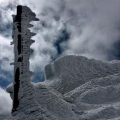 社長業は孤独だ…