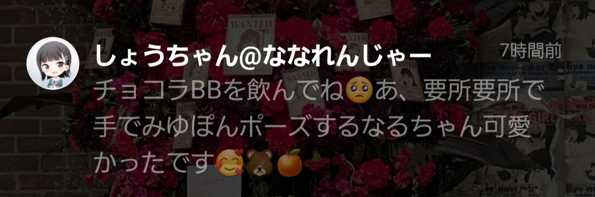 投稿画像