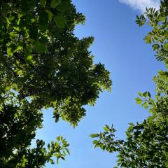 たろうのトーク