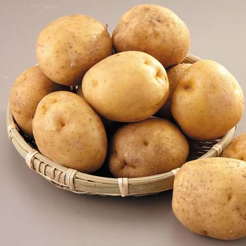 모구모구(もぐもぐ)@미소단(ミソ団)