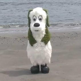 ぴのたこ