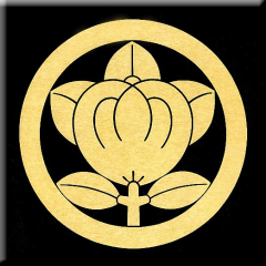 坂本忠司