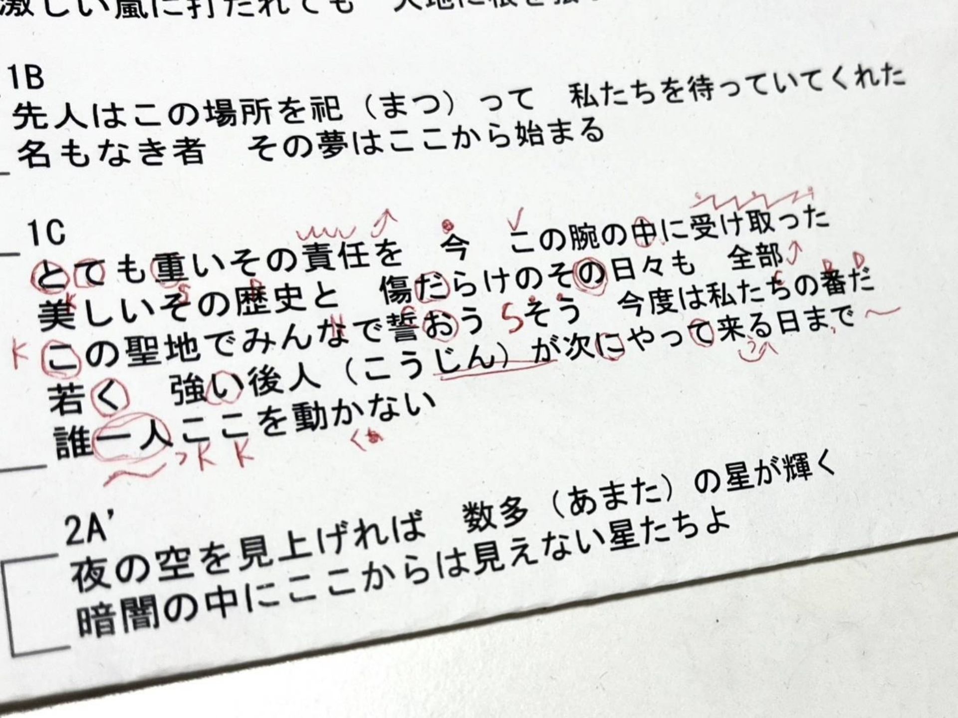 投稿画像