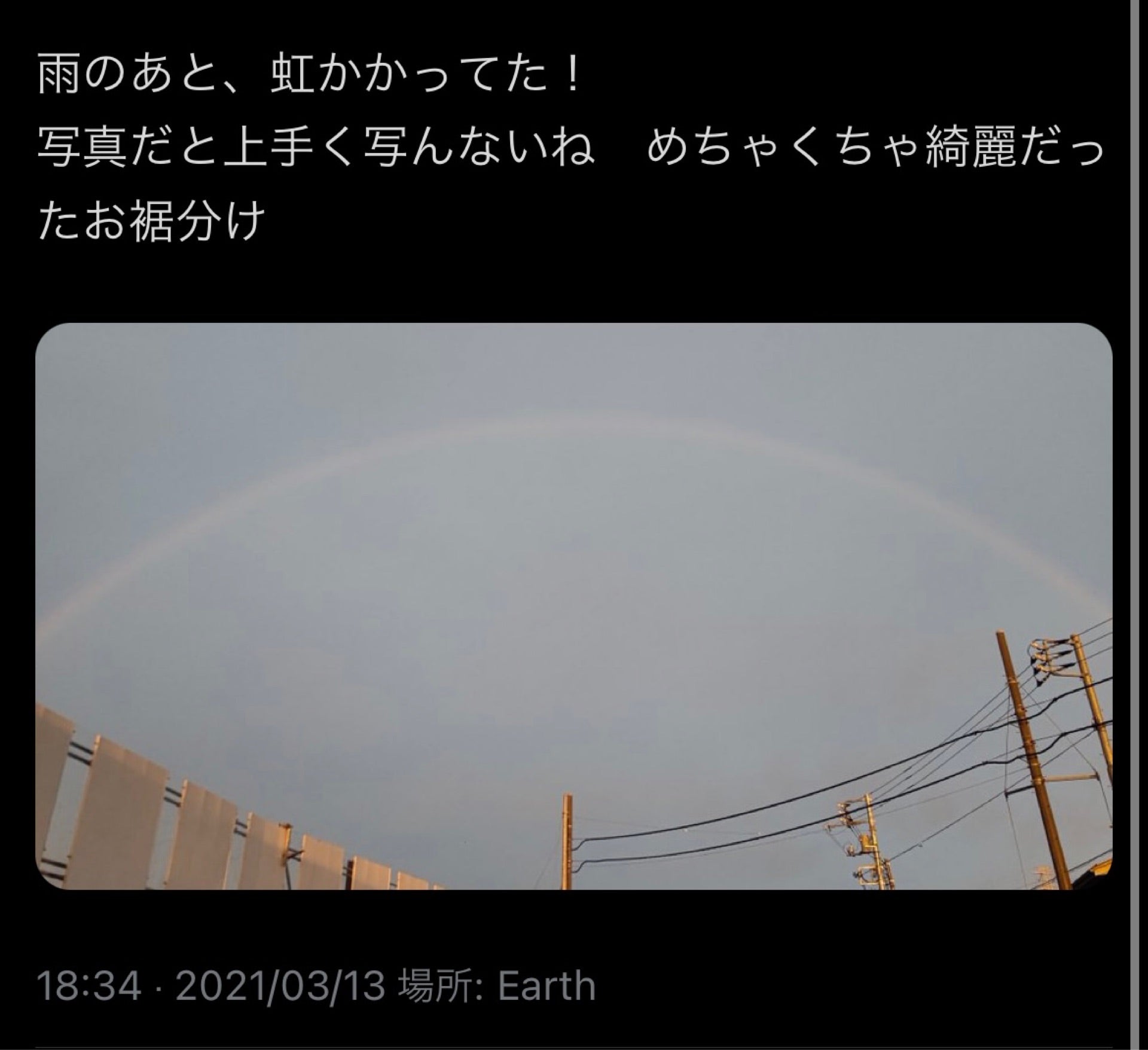 投稿画像