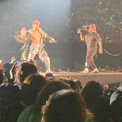 ライオンサルト